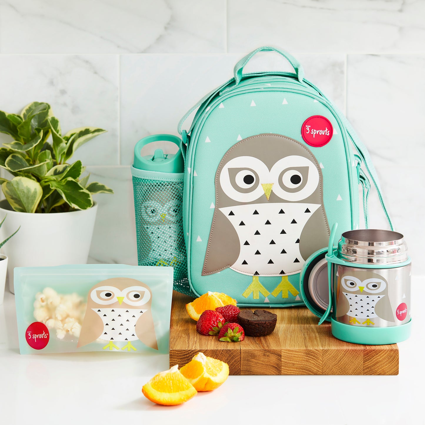 owl lunch bag