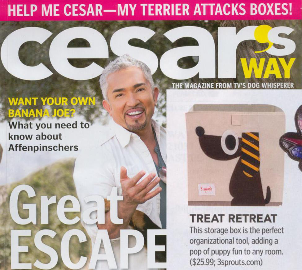 Cesar's Way