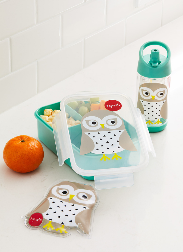 owl bento box